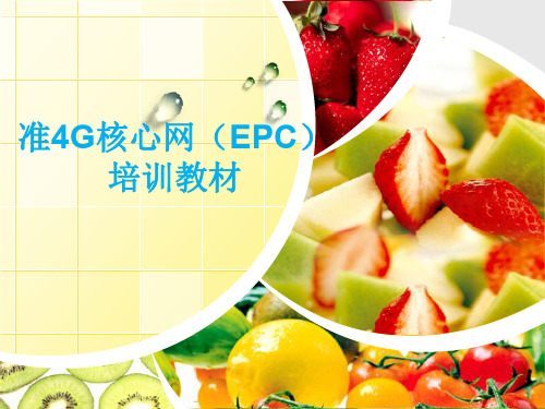 经典EPC核心网培训教材