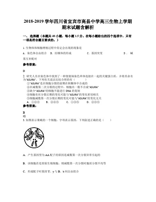 2018-2019学年四川省宜宾市高县中学高三生物上学期期末试题含解析