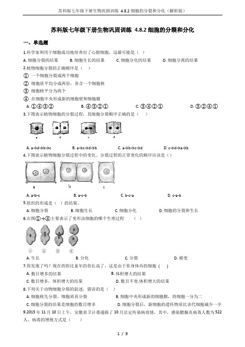 苏科版七年级下册生物巩固训练 4.8.2细胞的分裂和分化(解析版)