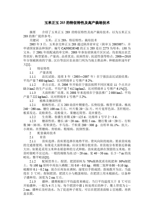 玉米正玉203的特征特性及高产栽培技术