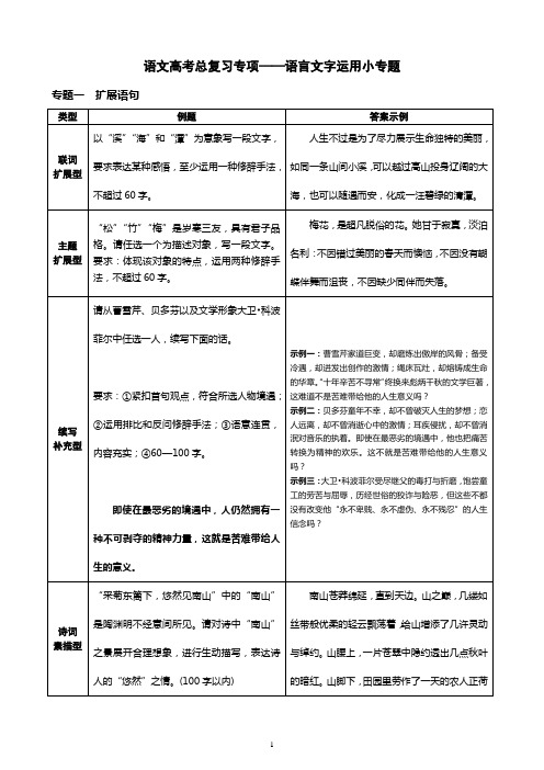 语言文字运用小专题(学生)汇总