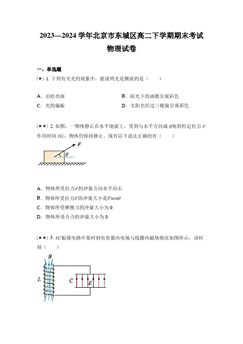 2023—2024学年北京市东城区高二下学期期末考试物理试卷