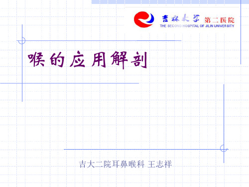 喉的应用解剖及生理学