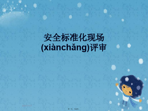 安全标准化现场评审