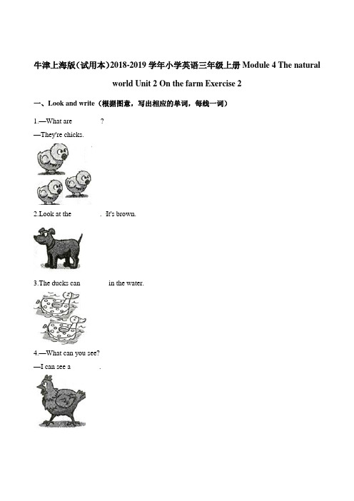 三年级上册英语一课一练-Module 4Unit 2  Exercise 2牛津上海版一起含答案