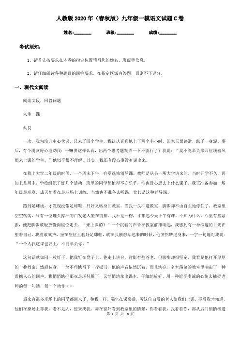 人教版2020年(春秋版)九年级一模语文试题C卷
