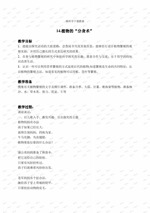 青岛小学科学五下《14植物的“分身术”》word教案(1)