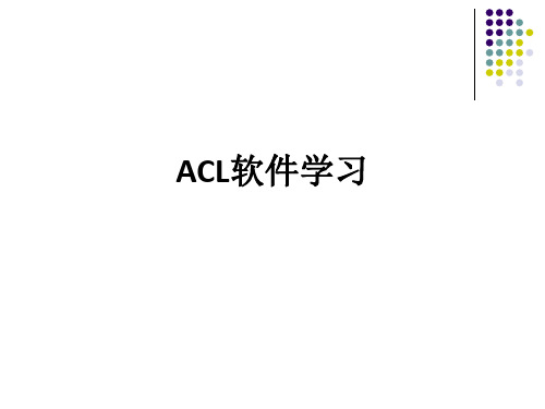 ACL软件学习ppt课件