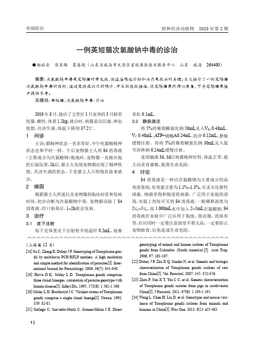 一例英短猫次氯酸钠中毒的诊治