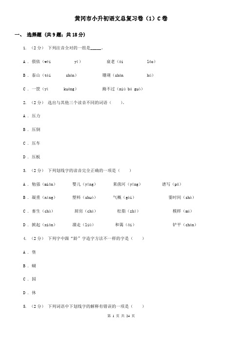 黄冈市小升初语文总复习卷(1)C卷