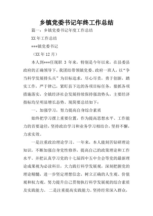 乡镇党委书记年终工作总结