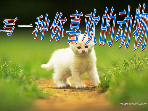 三年级语文下册《语文百花园二》作文课件.(语文S版)