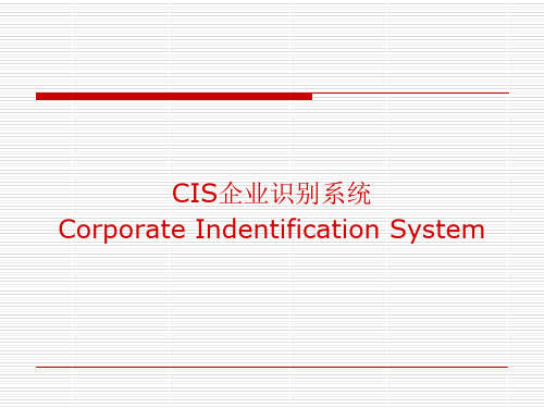 CIS企业识别系统(PPT 45页)