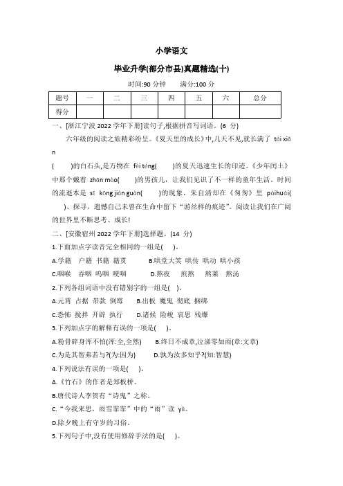 统编版语文六年级下册 毕业升学(部分市县)真题精选(十)(有答案)