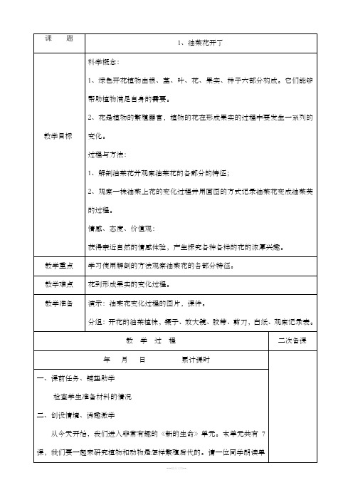 四年级科学下册第二单元单元教案
