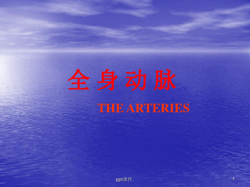 动脉ppt课件