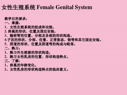 《女性生殖》ppt课件