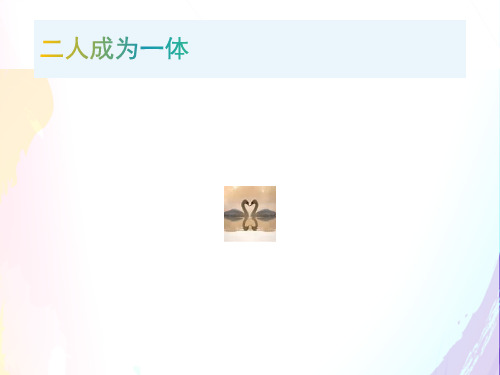 婚姻辅导：8二人成为一体