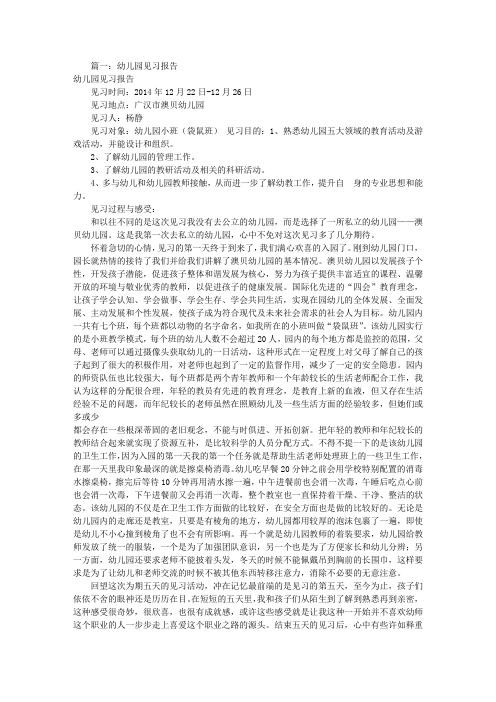 幼儿园一天见习报告(共6篇)