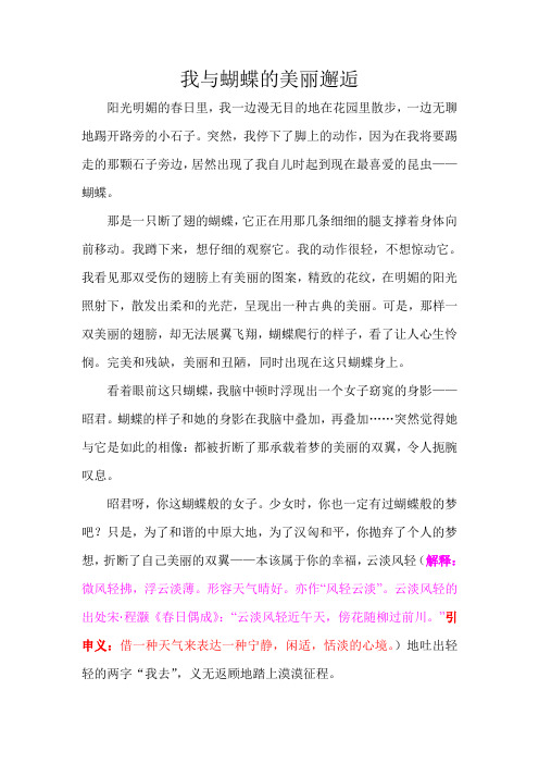 我与蝴蝶的美丽邂垢