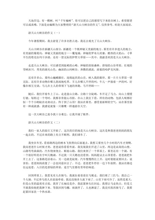 游天山大峡谷的作文
