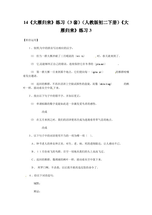 14《大雁归来》练习(3套)(人教版初二下册)《大雁归来》练习3