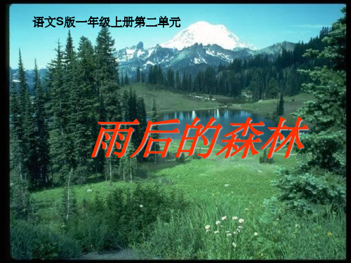 雨后的森林》课件语文S版一年级语文上册