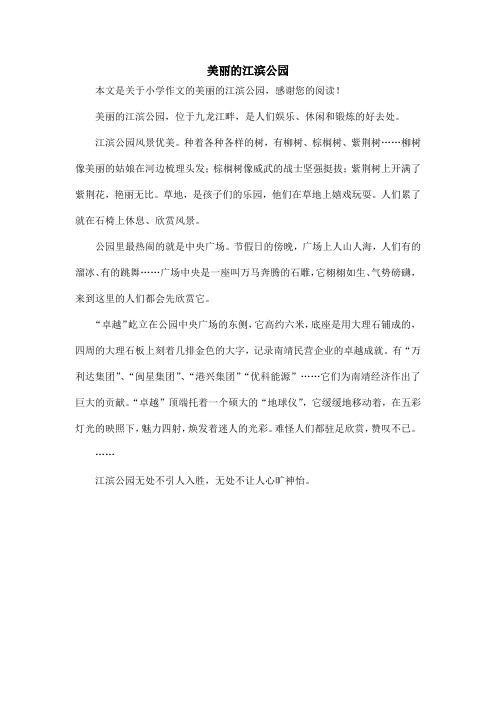 美丽的江滨公园_小学作文_6