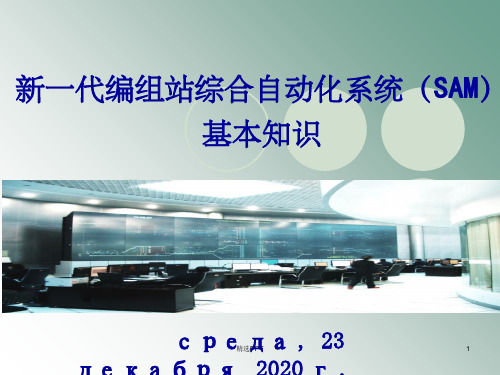 《SAM系统基本知识》PPT课件