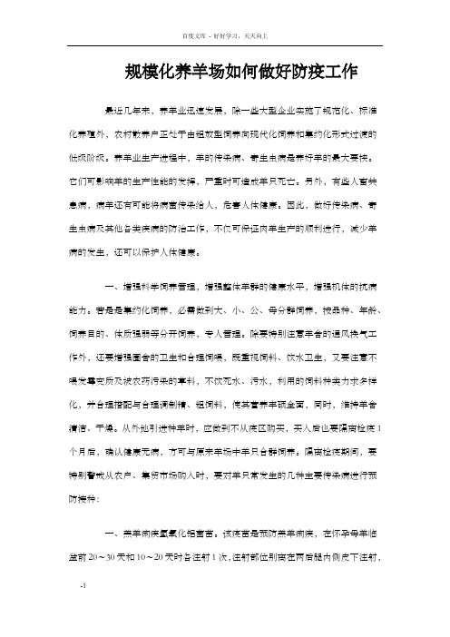 规模化养羊场如何做好防疫工作