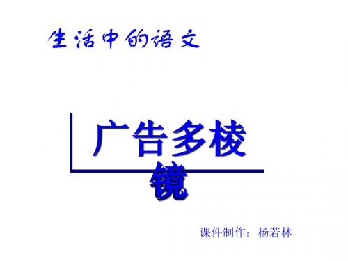 杨若林-广告多棱镜PPT课件( 25页)