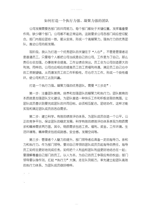 如何打造一个执行力强、凝聚力强的团队