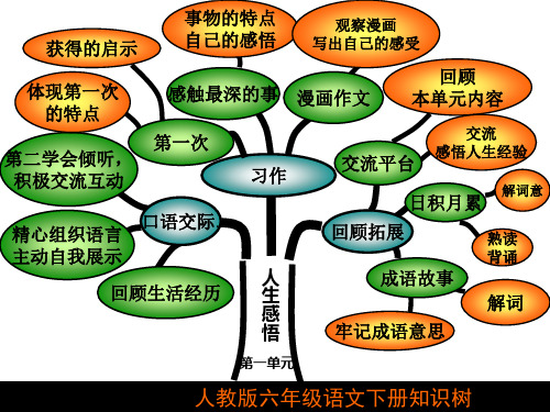 六年级下册语文知识树(1)