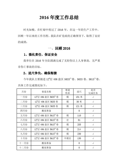 2016年度工作总结 (2)