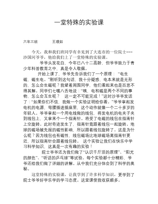 电与磁--科学实验有感文档 (2)
