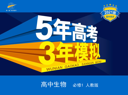 第3节 细胞核的结构和功能
