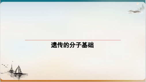 高考生物一轮复习基因的表达ppt