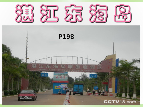 湛江东海岛讲解概要