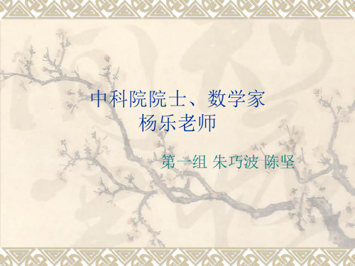 中科院院士、数学家杨乐