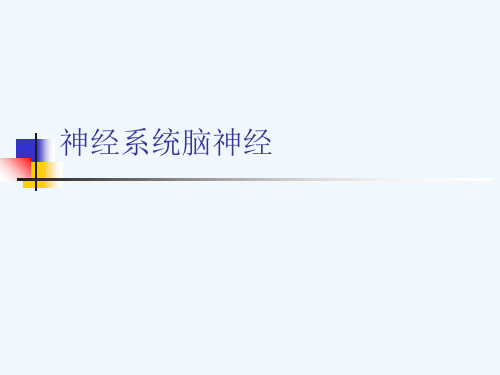 神经系统脑神经[可修改版ppt]