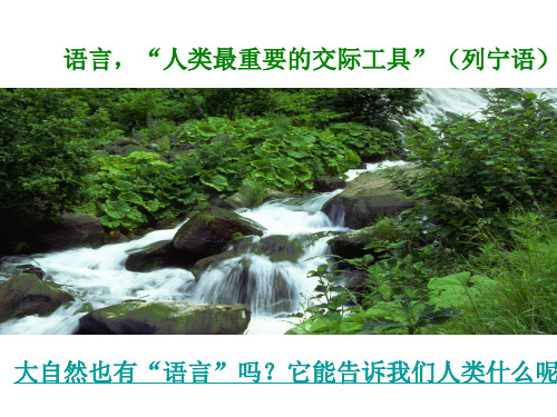 16 大自然的语言