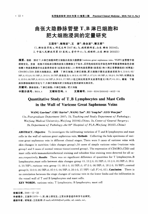 曲张大隐静脉管壁T、B淋巴细胞和肥大细胞浸润的定量研究