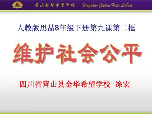 《维护社会公平》(人教版思品8年级下第九课第二框)