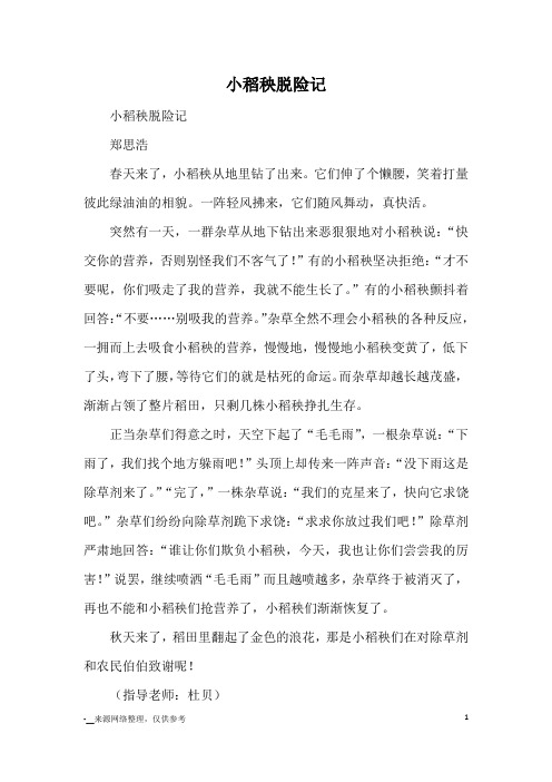 小稻秧脱险记_小学一二年级想象