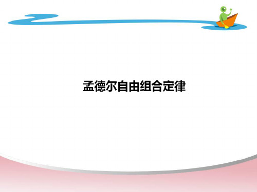 一轮复习 基因自由组合定律
