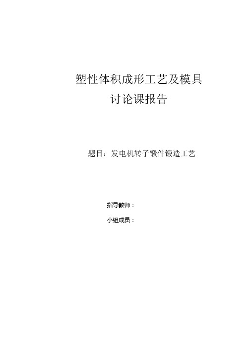 (全套)发电机转子锻件工艺分析
