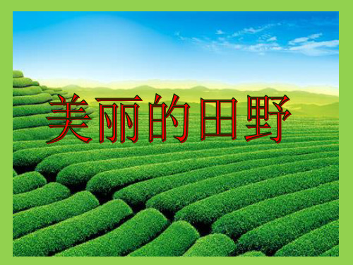 《美丽的田野》PPT课件