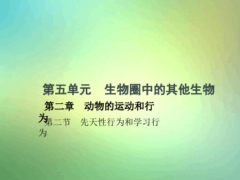 八年级生物上册522先天性行为和学习行为课件新版新人教版