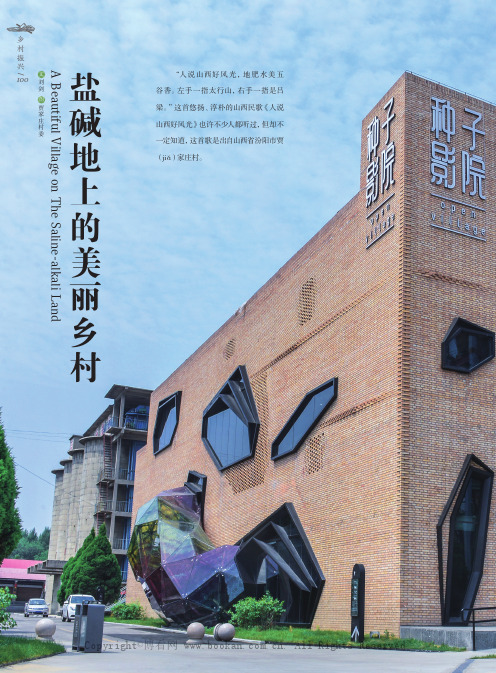 盐碱地上的美丽乡村
