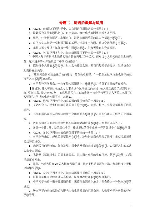 中考语文总复习 专题突破练 专题二 词语的理解与运用